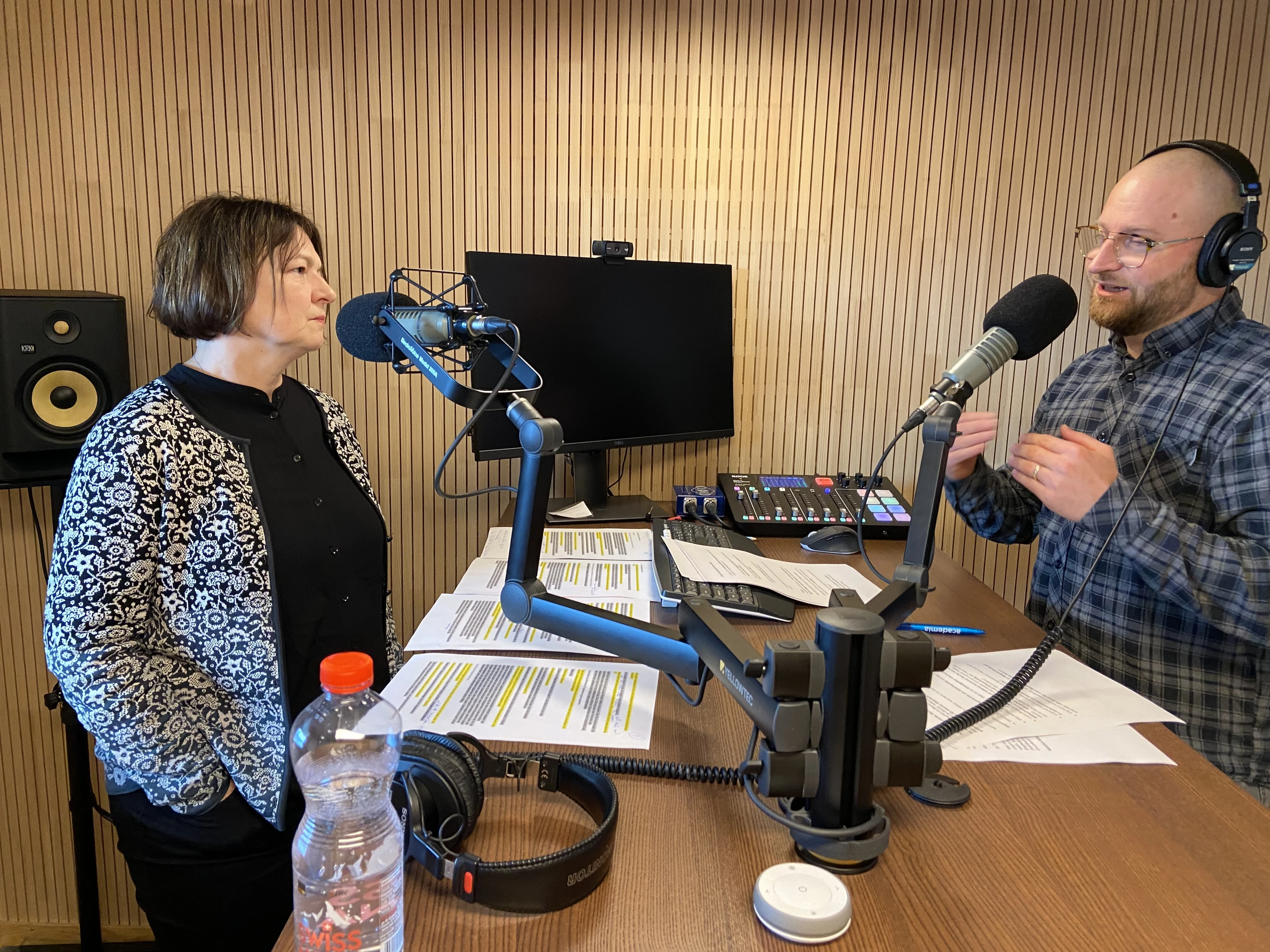 Barbara Zindel Arbeit und Rheuma Podcast
