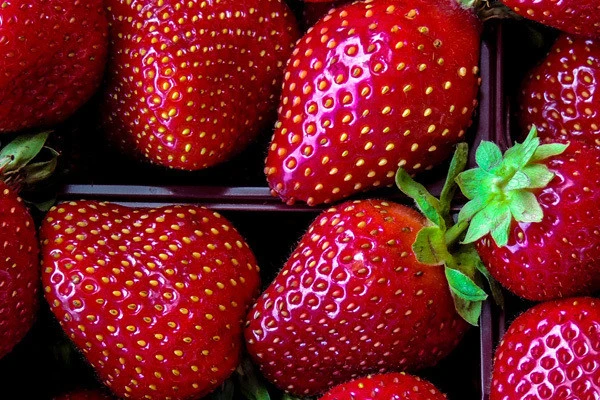 Erdbeeren Erdbeeren