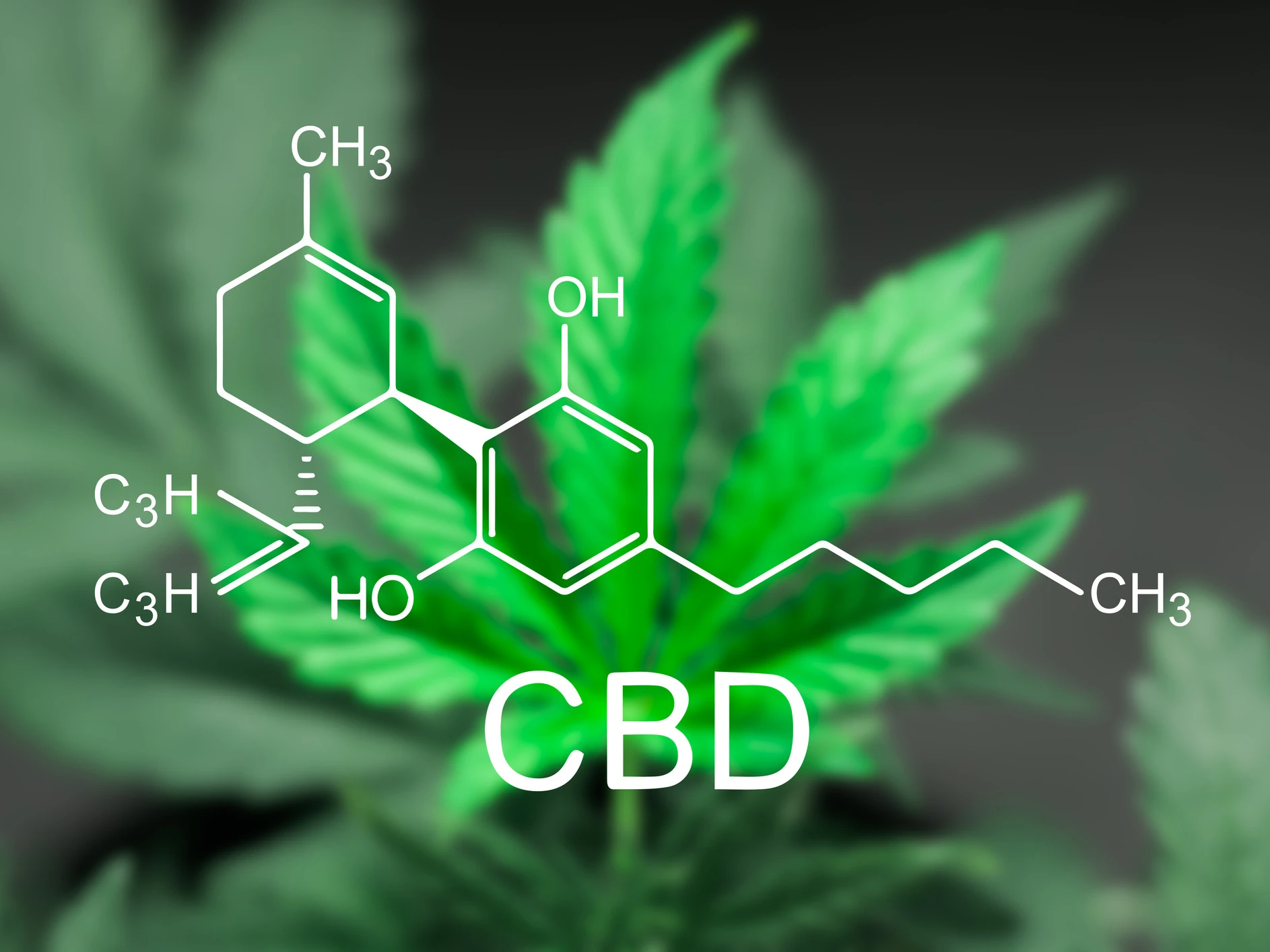 CBD bei Rheuma