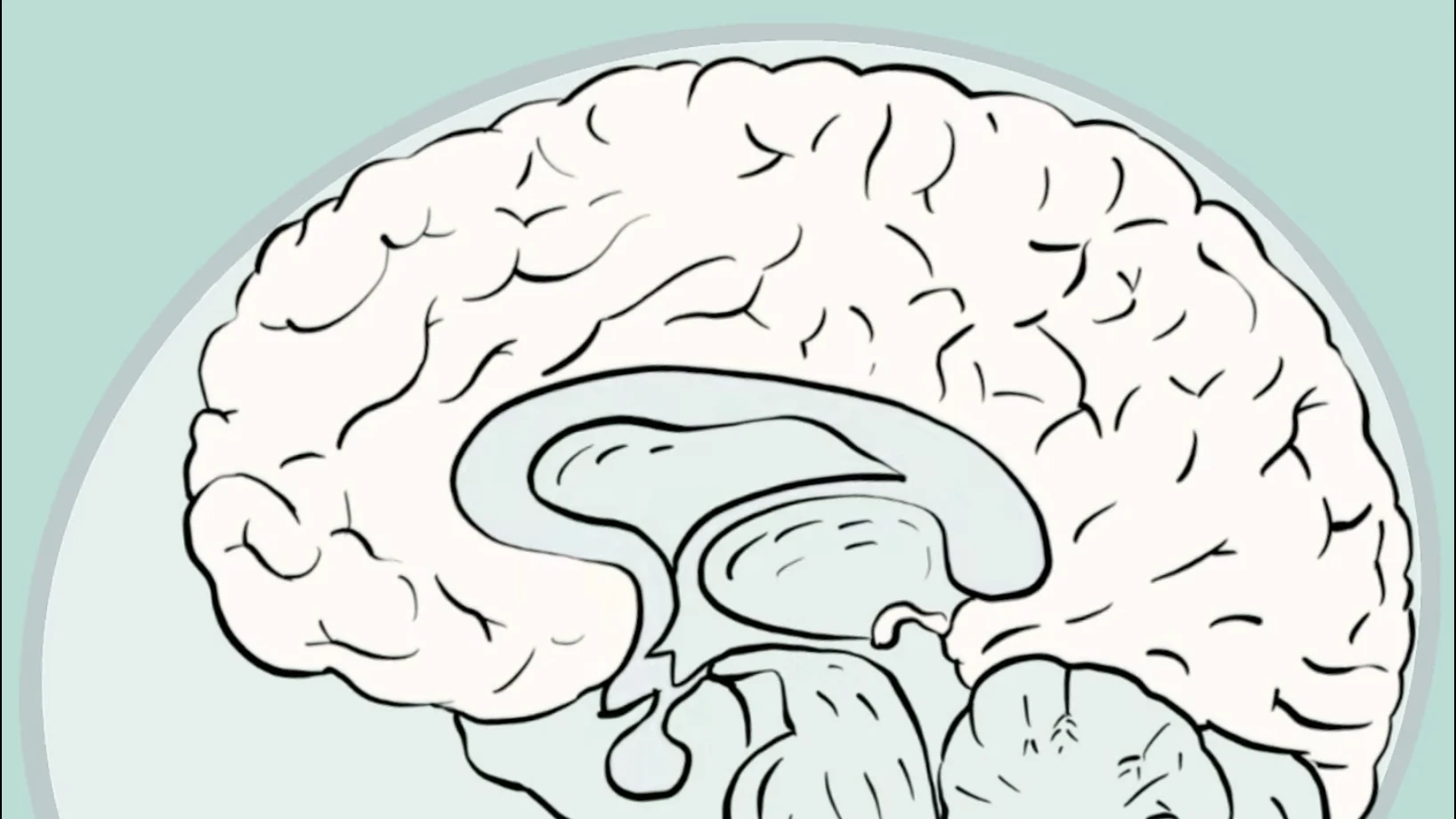 Da dove provengono i dolori? Schema del cervello: da dove provengono i dolori?