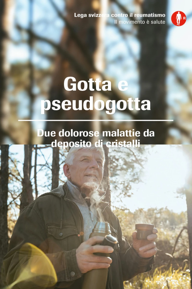 Gotta e pseudogotta