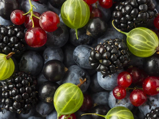 Gesunde Beeren Mix